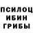 Галлюциногенные грибы MAGIC MUSHROOMS Quiertus Adad