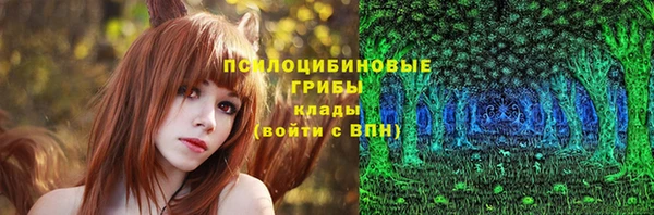 первитин Горняк