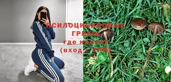 первитин Горняк