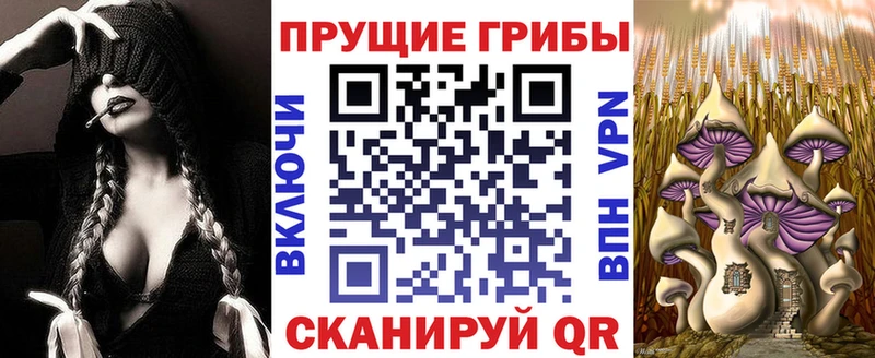 Псилоцибиновые грибы ЛСД  купить наркотики цена  Ивдель 